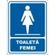 Toaleta femei 20x15cm